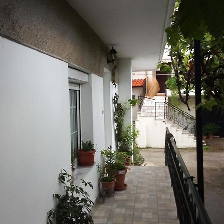Big Apartment Near Olympus Mountain Litochoro Exterior foto